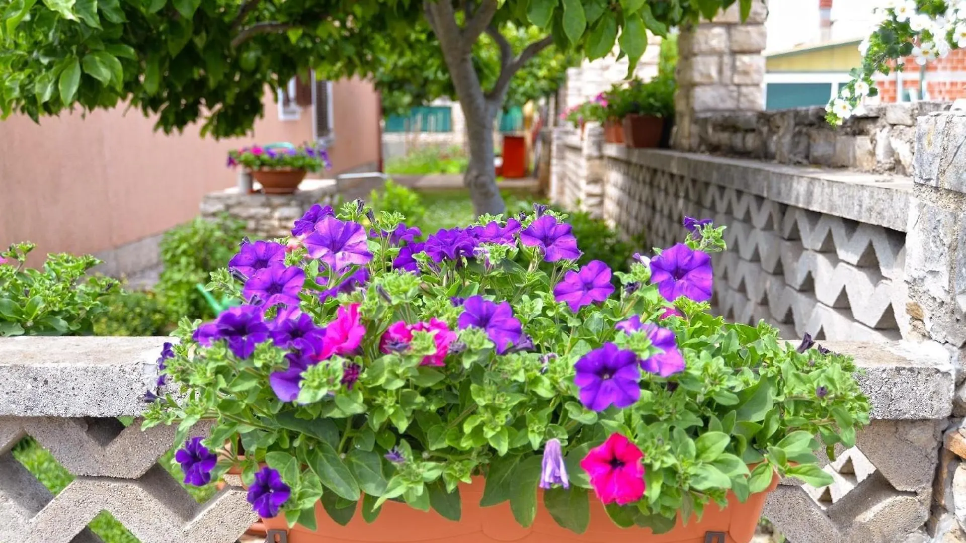 Ferienwohnung Fuer 5 Personen Ca 55 Qm In Novigrad, Istrien Istrische Riviera Karpinjan 0*,